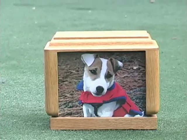 3Way - série lesbienne