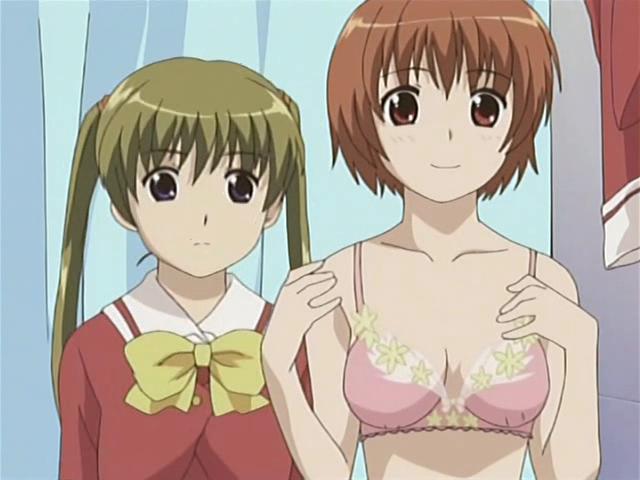 kashimashi girl meets girl