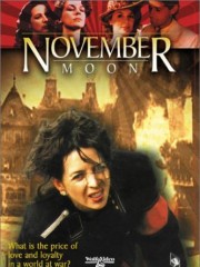 Affiche : Lune De Novembre Affiche : Lune De Novembre