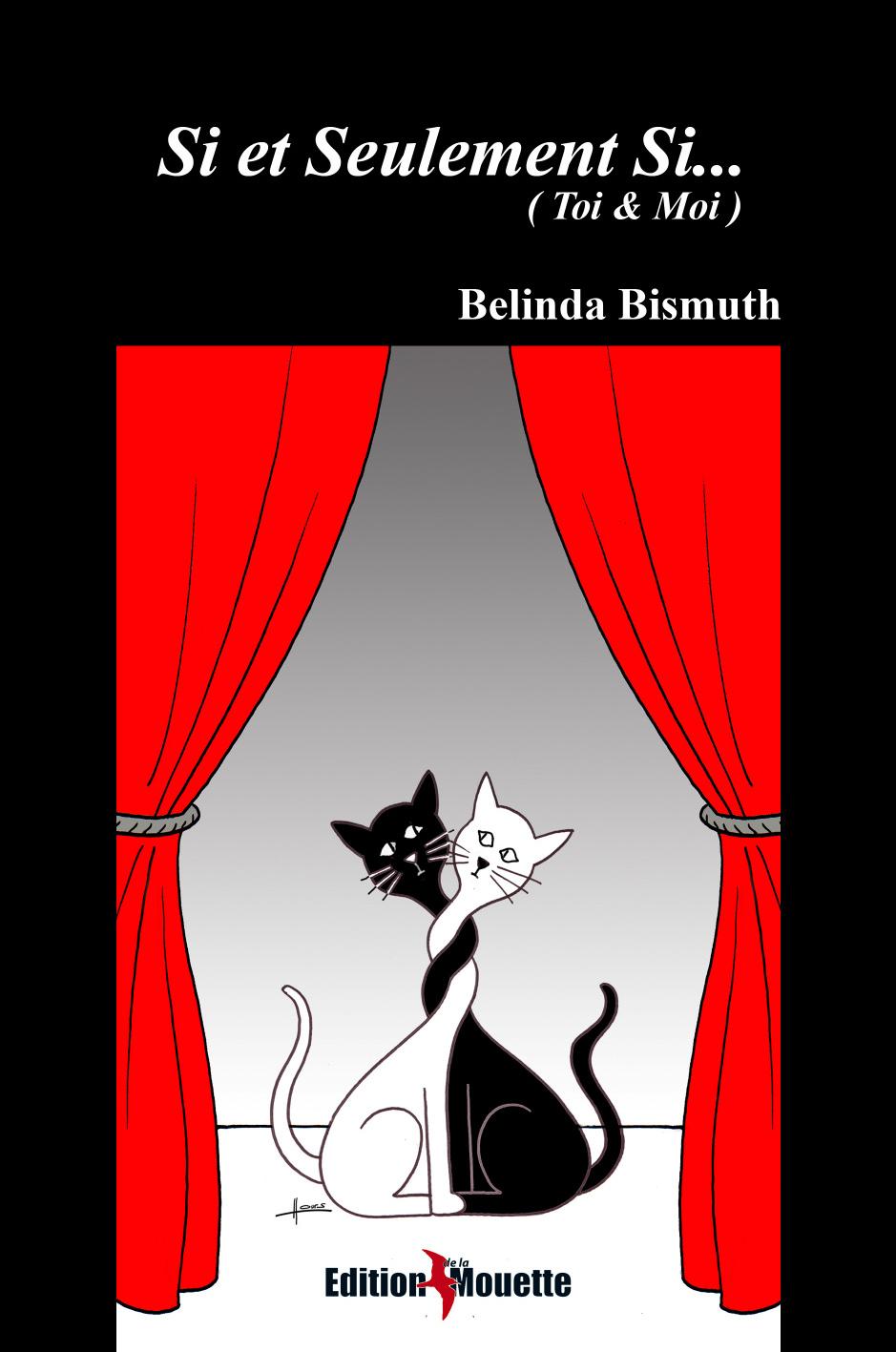 Affiche : Si et Seulement Si (Toi & Moi) de Belinda Bismuth Couverture du livre : Si et Seulement Si (Toi & Moi) de Belinda Bismuth