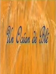 Affiche : Un Océan De Blé Affiche : Un Océan De Blé