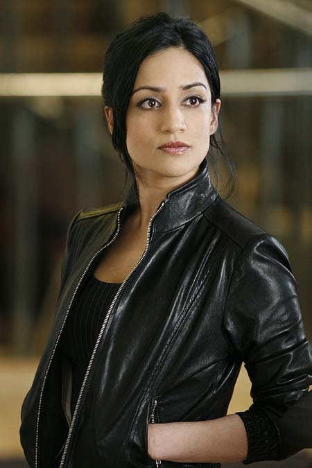 The Good Wife