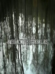 Affiche : Embracing Butterflies Affiche : Embracing Butterflies