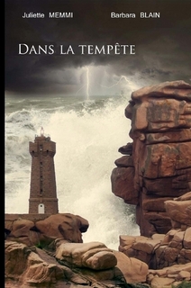 Affiche : Dans la Tempête de Juliette M & Barbara Blain Couverture du livre : Dans la Tempête de Juliette M & Barbara Blain