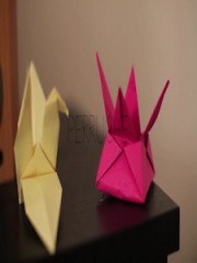 Affiche : Perruche Affiche : Perruche