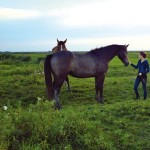 Of girls and horses
