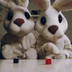 Stop Calling Me Honey Bunny