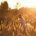 Summer - Film Lesbien